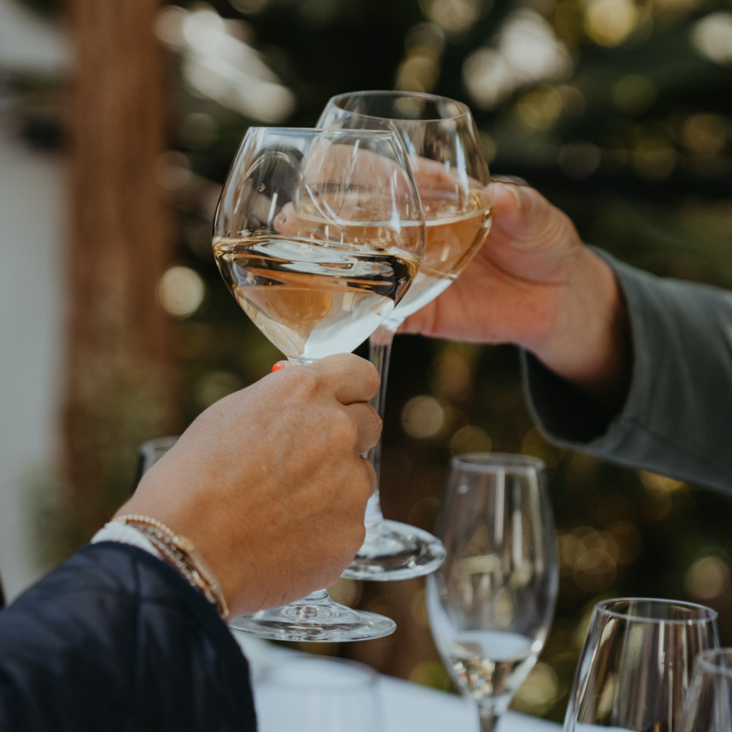 “Sav” Sauvignon Blanc (2021)